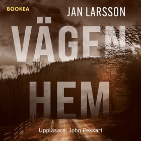 Vägen hem (ljudbok) av Jan Larsson