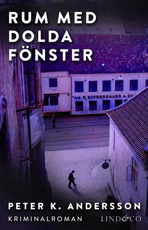 Rum med dolda fönster (e-bok) av Peter K. Andersson