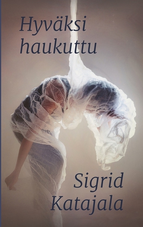 Hyväksi haukuttu (e-bok) av Sigrid Katajala
