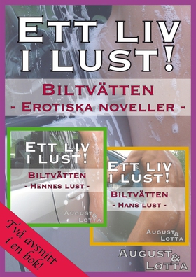 Biltvätten – erotiska noveller (e-bok) av Lotta