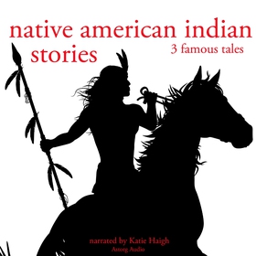 3 American Indian Stories (ljudbok) av Folktale