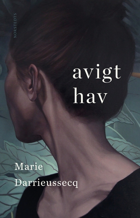 Avigt hav (e-bok) av Marie Darrieussecq
