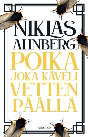 Poika joka käveli vetten päällä (e-bok) av Nikl