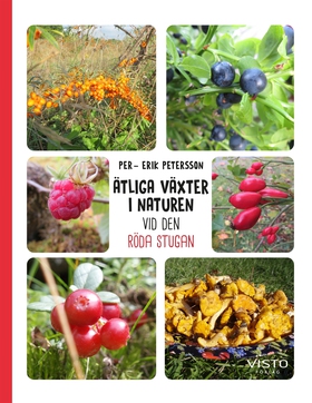 Ätliga växter i naturen vid den röda stugan (e-