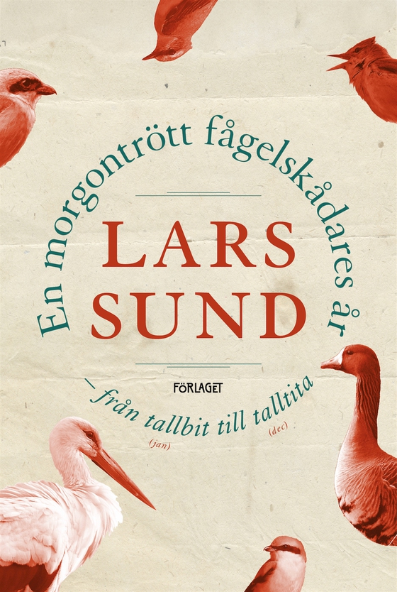 En morgontrött fågelskådares år (e-bok) av Lars Sund