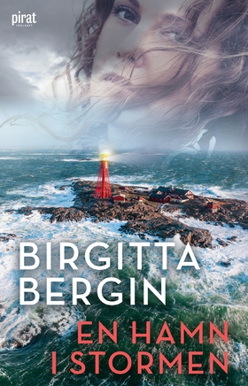 En hamn i stormen (e-bok) av Birgitta Bergin