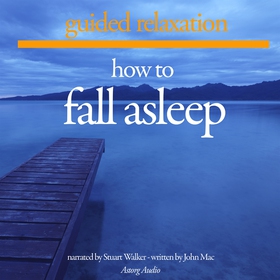How to Fall Asleep (ljudbok) av John Mac