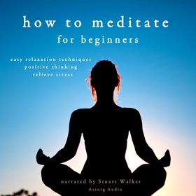 How to Meditate (ljudbok) av John Mac