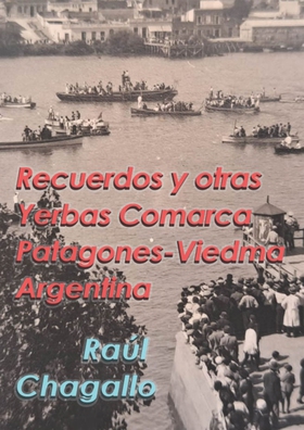 Recuerdos y otras yerbas: Comarca Patagones-Vie