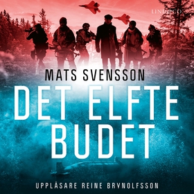 Det elfte budet (ljudbok) av Mats Svensson
