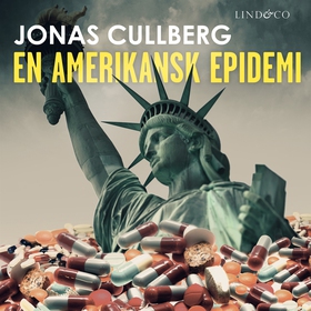 En amerikansk epidemi (ljudbok) av Jonas Cullbe