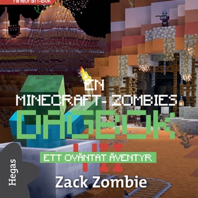 Ett oväntat äventyr (ljudbok) av Zack Zombie
