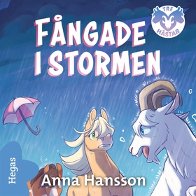 Fångade i stormen (ljudbok) av Anna Hansson