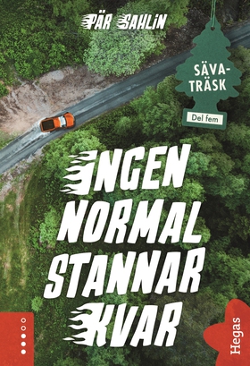 Ingen normal stannar kvar (e-bok) av Pär Sahlin