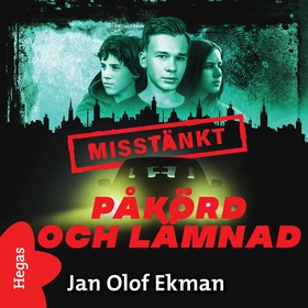 Påkörd och lämnad (ljudbok) av Jan-Olof Ekholm