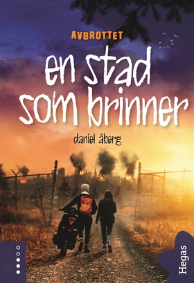 En stad som brinner (e-bok) av Daniel Åberg