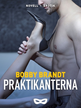 Praktikanterna (e-bok) av Bobby Brandt, Bobby B