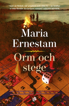 Orm och stege (e-bok) av Maria Ernestam