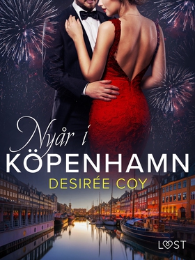 Nyår i Köpenhamn - erotisk romance (e-bok) av D