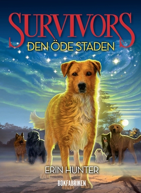 Survivors 1.1 Den öde staden (e-bok) av Erin Hu