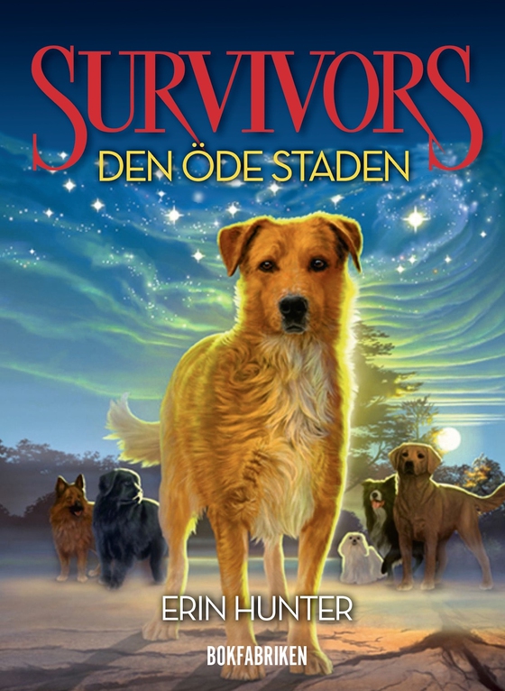 Survivors 1.1 Den öde staden