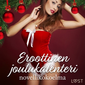 Eroottinen joulukalenteri: novellikokoelma (lju