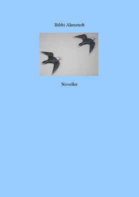 Noveller: Spännande noveller (e-bok) av Bibbi A