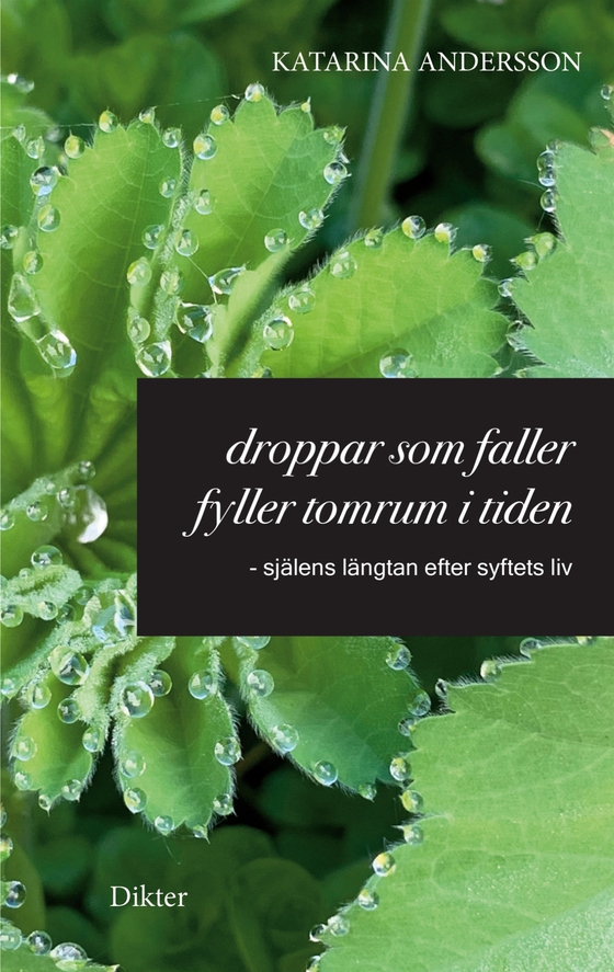 Droppar som faller fyller tomrum i tiden: - själens längtan efter syftets liv