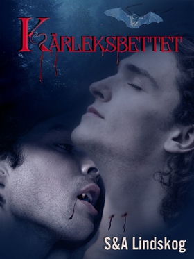 Kärleksbettet - Erotisk romantasy, HBTQ (e-bok)