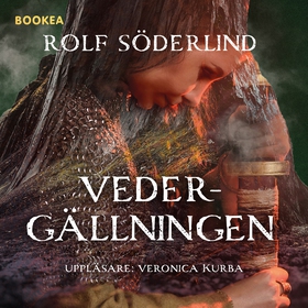 Vedergällningen (ljudbok) av Rolf Söderlind