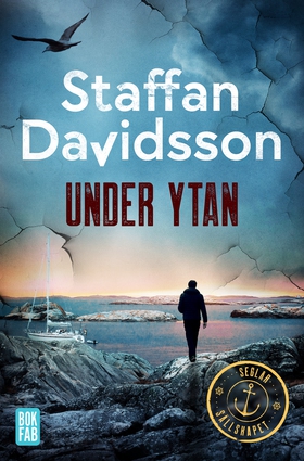 Under ytan (e-bok) av Staffan Davidsson
