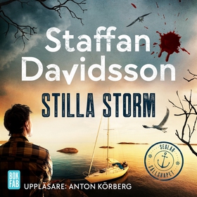 Stilla storm (ljudbok) av Staffan Davidsson
