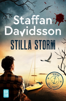 Stilla storm (e-bok) av Staffan Davidsson