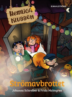 Strömavbrottet (e-bok) av Johanna Schreiber