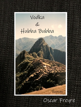Vodka & Hubba Bubba (e-bok) av Oscar Freyre