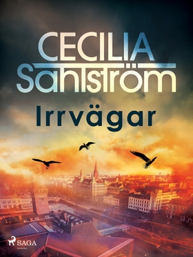 Irrvägar (e-bok) av Cecilia Sahlström