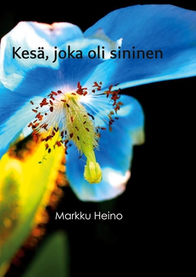 Kesä, joka oli sininen (e-bok) av Markku Heino