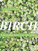 BIRCH: & the freedom between the solid surfaces.