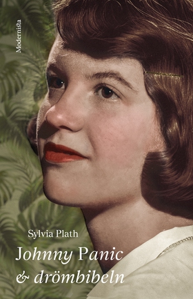 Johnny Panic och drömbibeln (e-bok) av Sylvia P