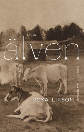 Älven (e-bok) av Rosa Liksom