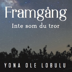 Framgång - Inte som du tror (ljudbok) av Yona O