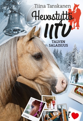 Talven salaisuus (e-bok) av Tiina Tanskanen