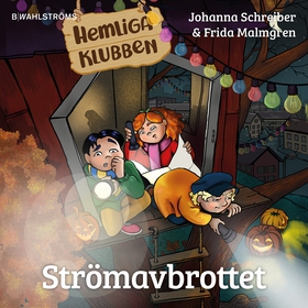 Strömavbrottet (ljudbok) av Johanna Schreiber