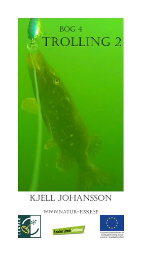 Trolling 2 (e-bok) av Kjell Johansson