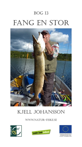 Fang en stor (e-bok) av Kjell Johansson