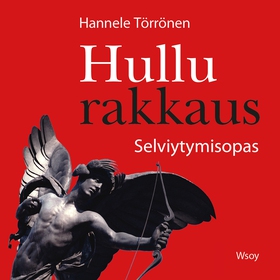 Hullu rakkaus. Selviytymisopas (ljudbok) av Han