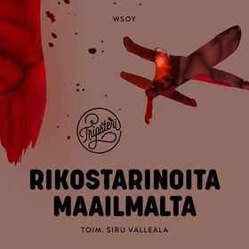 Rikostarinoita maailmalta (ljudbok) av Liisa He