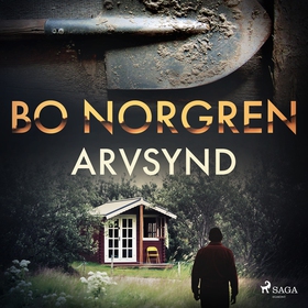 Arvsynd (ljudbok) av Bo Norgren