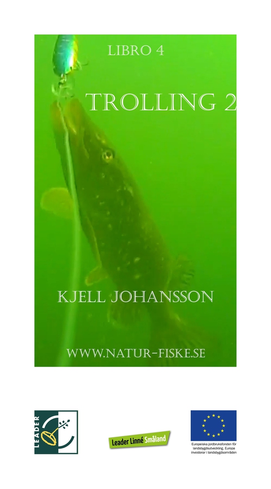 Trolling 2