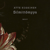 Silmittömyys